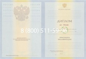 Диплом специалиста 2010-2011 годов