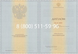 Диплом специалиста 2012-2013 годов