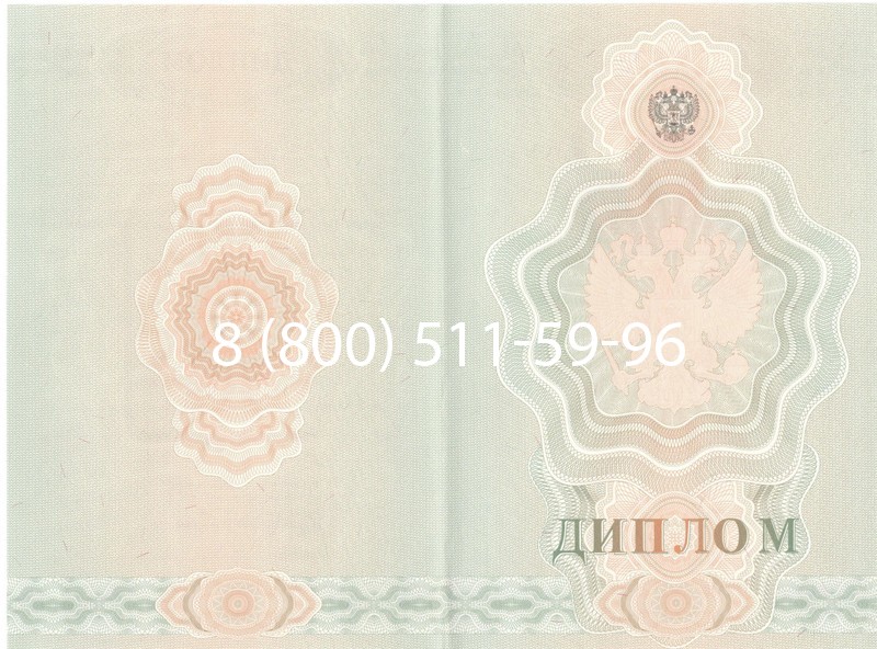 Купить Диплом училища 2007-2009 годов в Уфе
